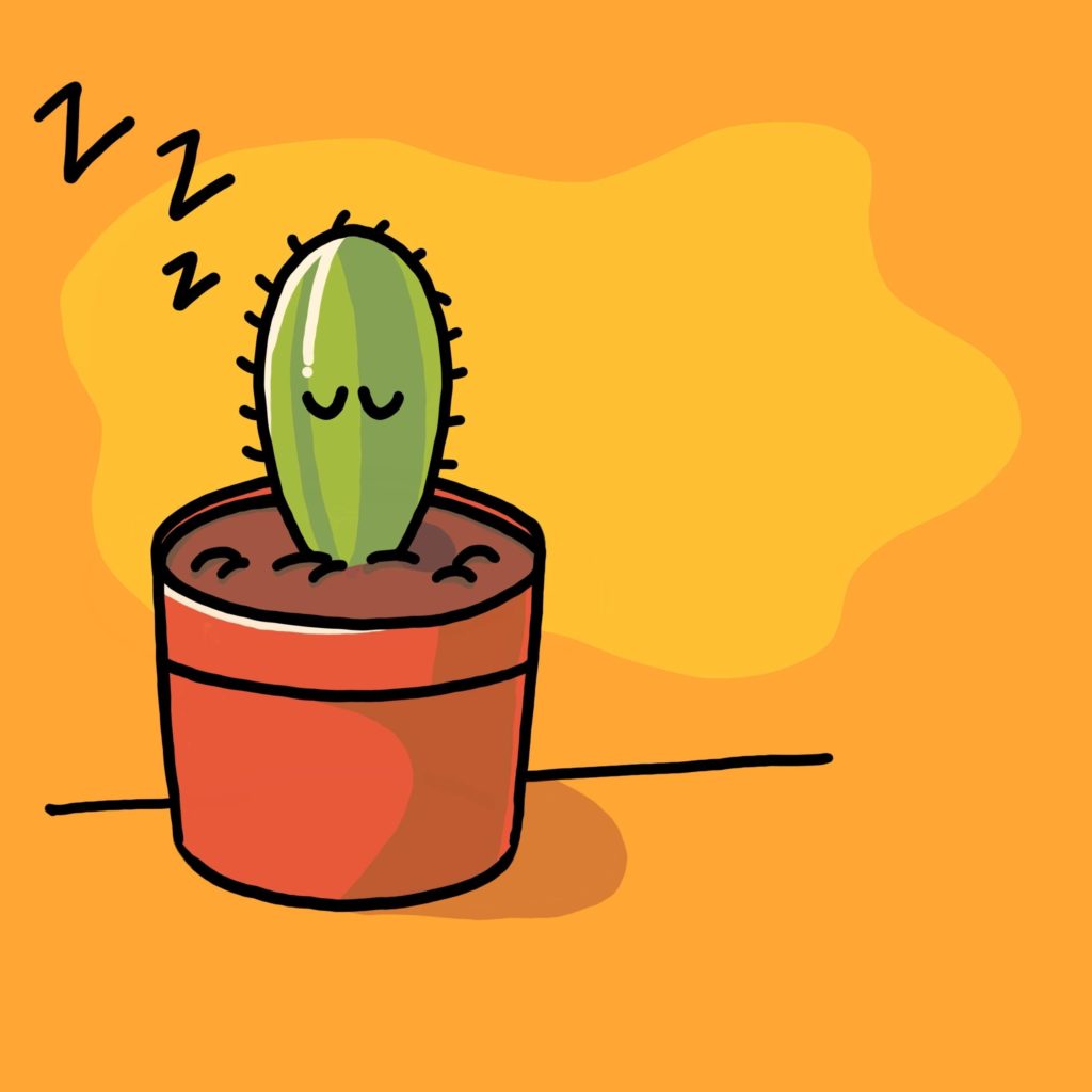A sleepy cactus.